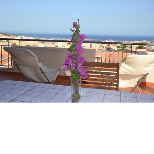 Appartamento Yucca