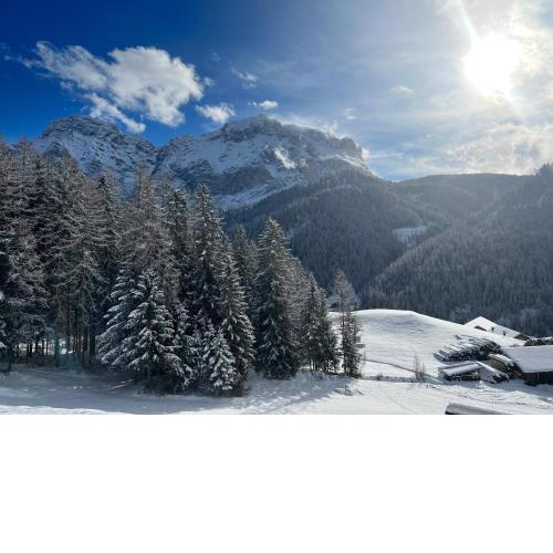 Appartaments Sanderhof