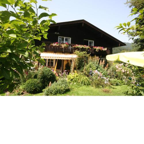 Appartement am Schilift