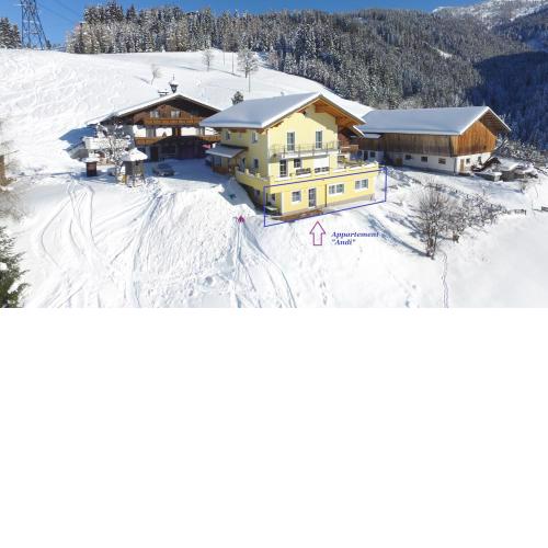 Appartement Andi