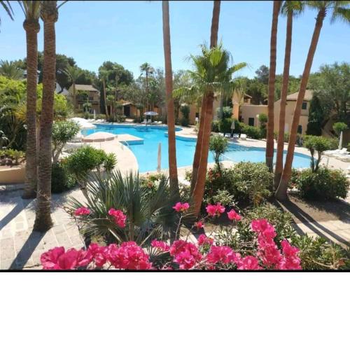 Appartement avec vue sur mer et piscine tropicale