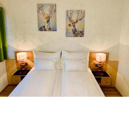 Appartement Azalea Oetz