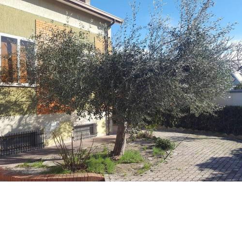 Appartement côte Adriatique