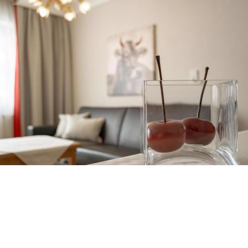 Appartement Erwin & Eleonore Hüttl - Top 1