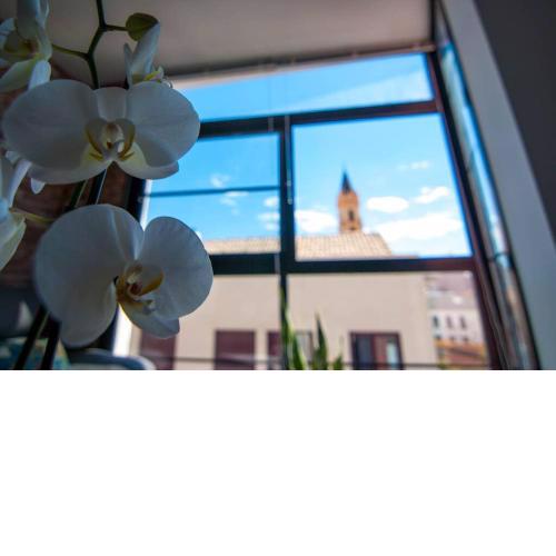 Appartement in Malaga Centro