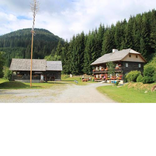Appartement Schlosserhaus Turrach