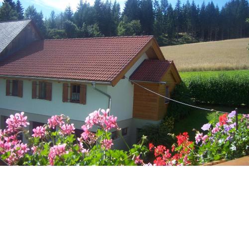 Appartement Steiner