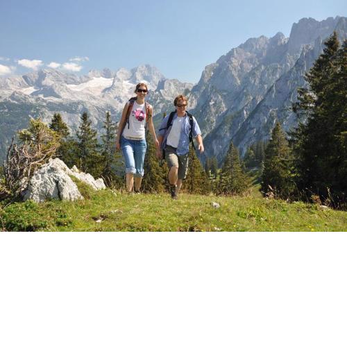 Appartement Stelo Gosau-Hallstatt