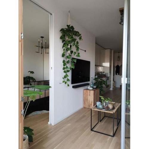 Appartement über den Dächern Wiens