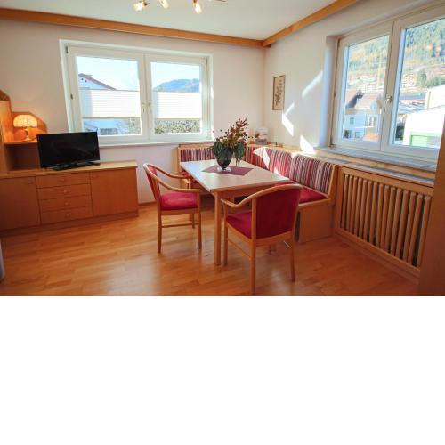 Appartement Wartinger by Schladming-Appartements