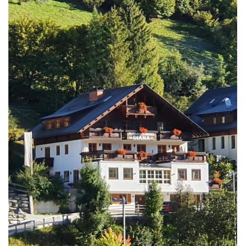 Appartements DIANA Bad Kleinkirchheim