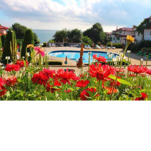 Appartment Kapriz Kiten