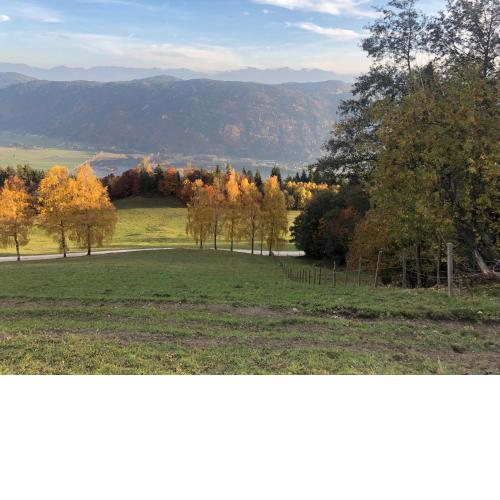 Appartment SIMONE mit Seeblick