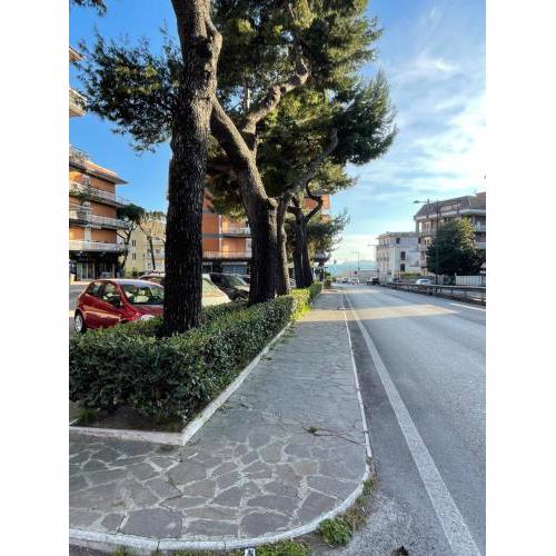 Approdo Felice