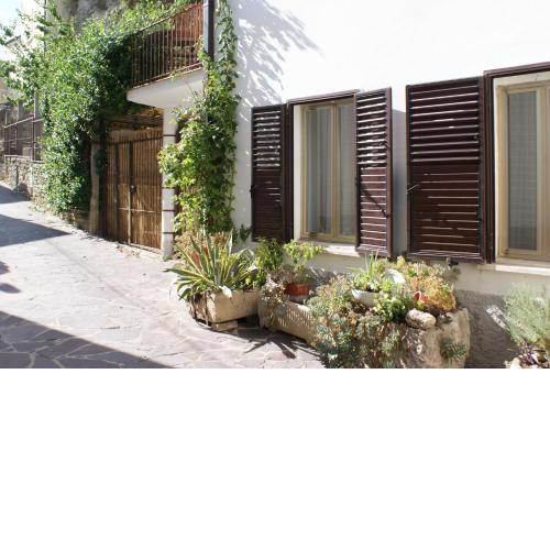 Apricot House