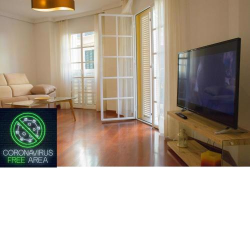APT GIBRALHORCE SUITE by Malaga Picasso Rentals Selection