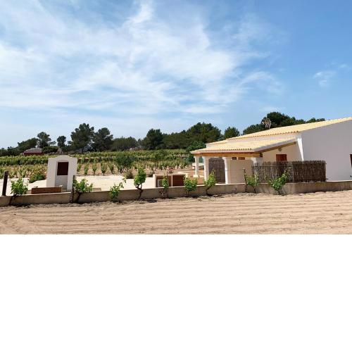 Aptos rurales Can Pep de Sa Barda - Viñedos y tranquilidad