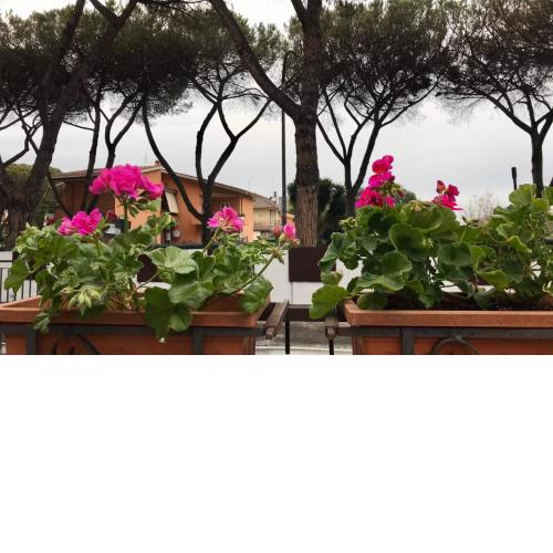 Aquarius Rome Apartments