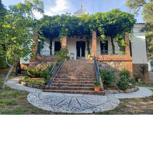 Aracenilla 7