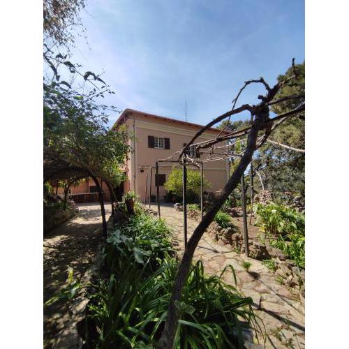 Aragonite Azzurra Casa Vacanza