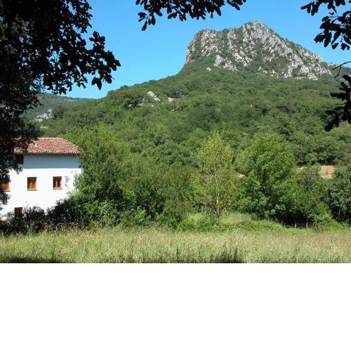 Araiztar