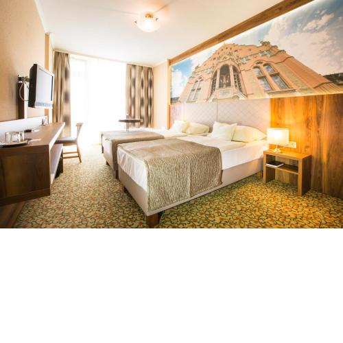 Aranyhomok Business-City-Wellness Hotel