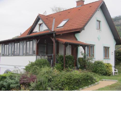 Aranykagyló 36