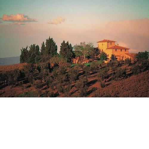 Archipettoli