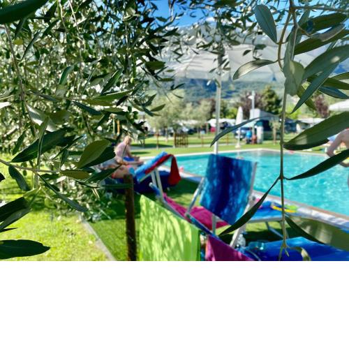 Arco Bed And Camping