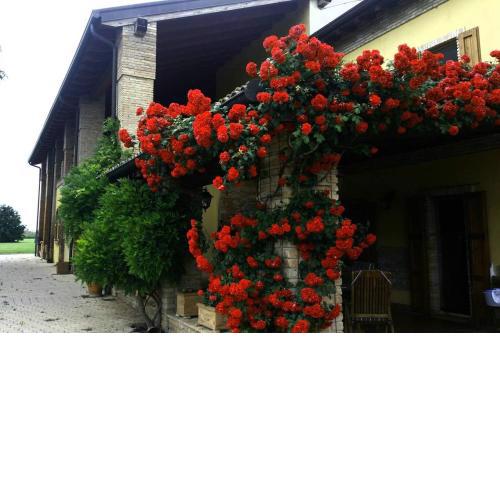 Ardenga Guest House