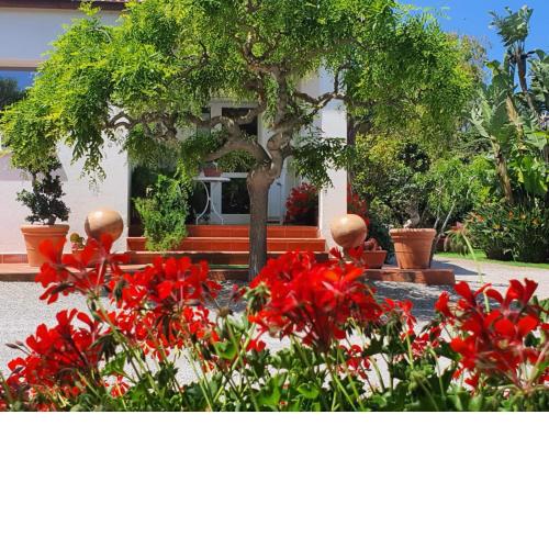 Arenosu Comfort Country Resort