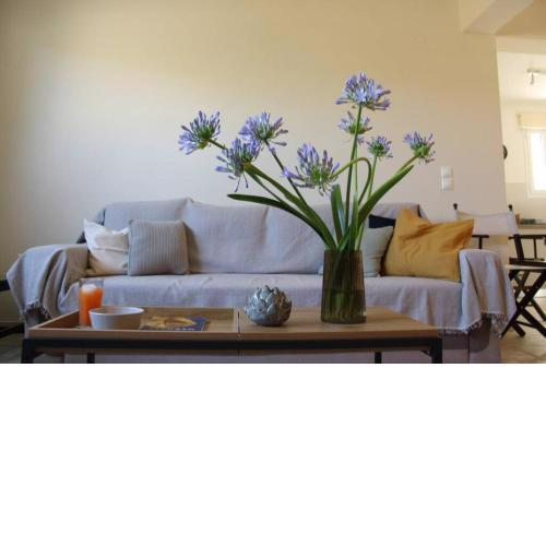 Aretis St Apartment