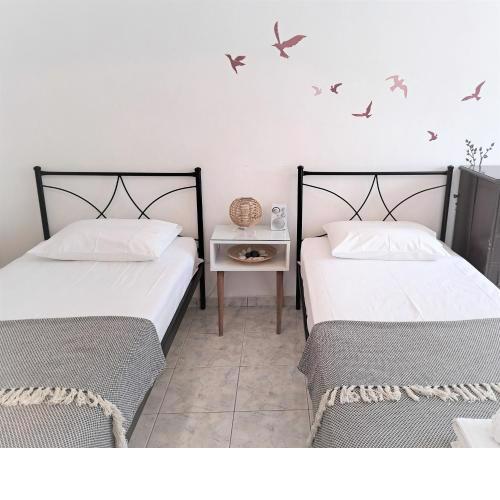 Ariadne Studio