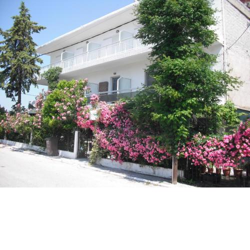 Aris House