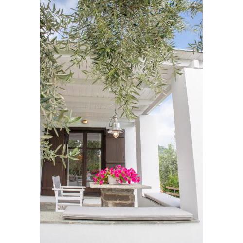 Aristi's Country Houses