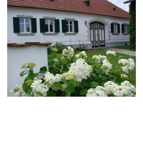 Arkadenhof Kurtz