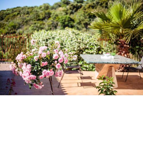 Armonia by the Sea - Majestic Seaside Retreat