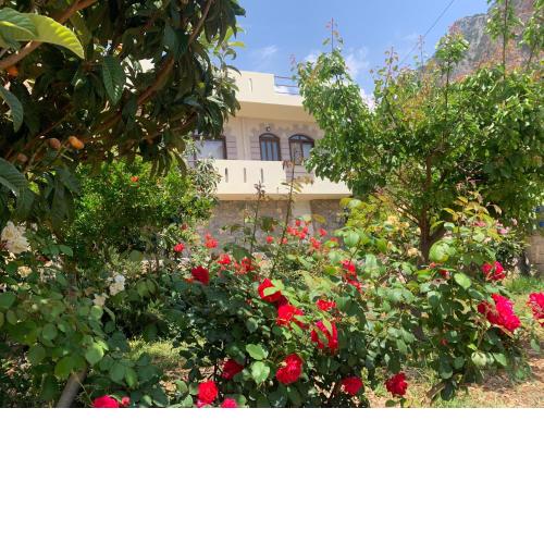Artemisa House