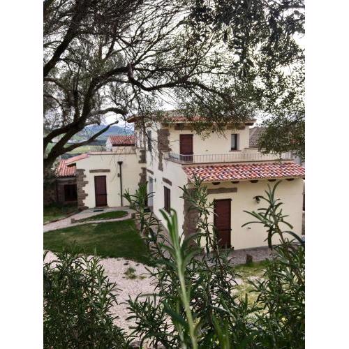 Artemisia Sardegna