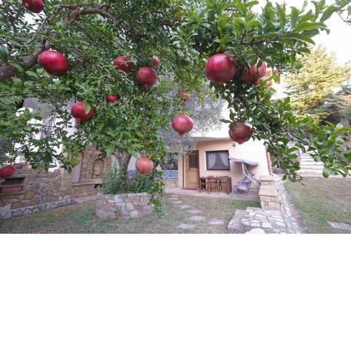 Aslanis-Souroti Garden FAMILY Suite