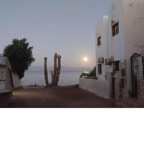 Asmara House
