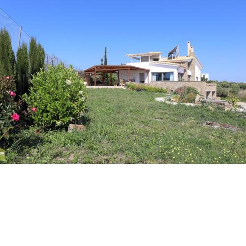 ASSINI View