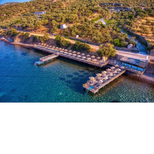 Assos Dionysos Hotel Adult Only 16