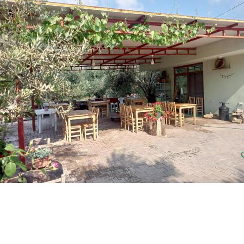 Assos Gunoven Cuisine