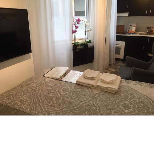 Astoria Double-Studio Interior serviced apartment