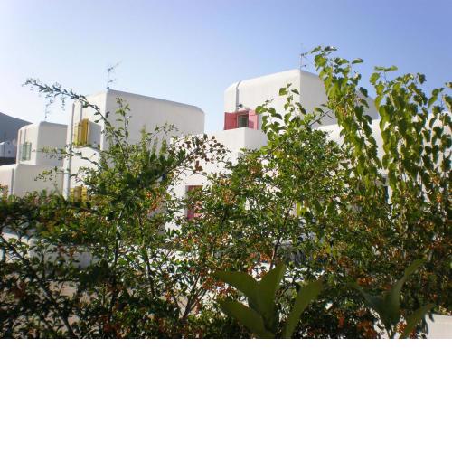 Astypalea Villas