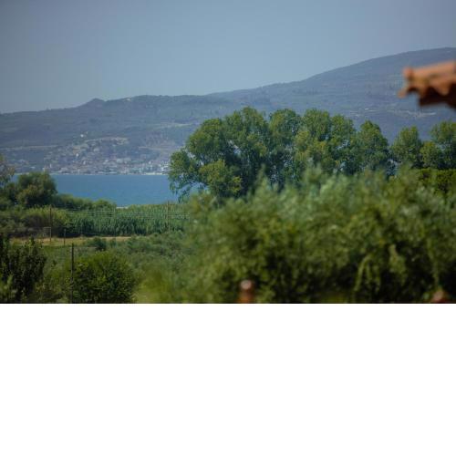 At The Messinian's Bay