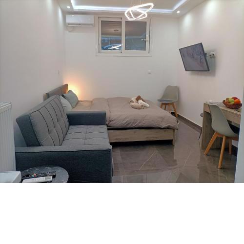 Athens Central Bachelor Apartment