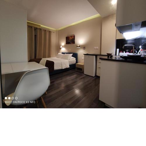 Athens Luxurious Suite 20