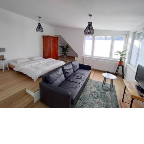 Attic apartment Cathouse